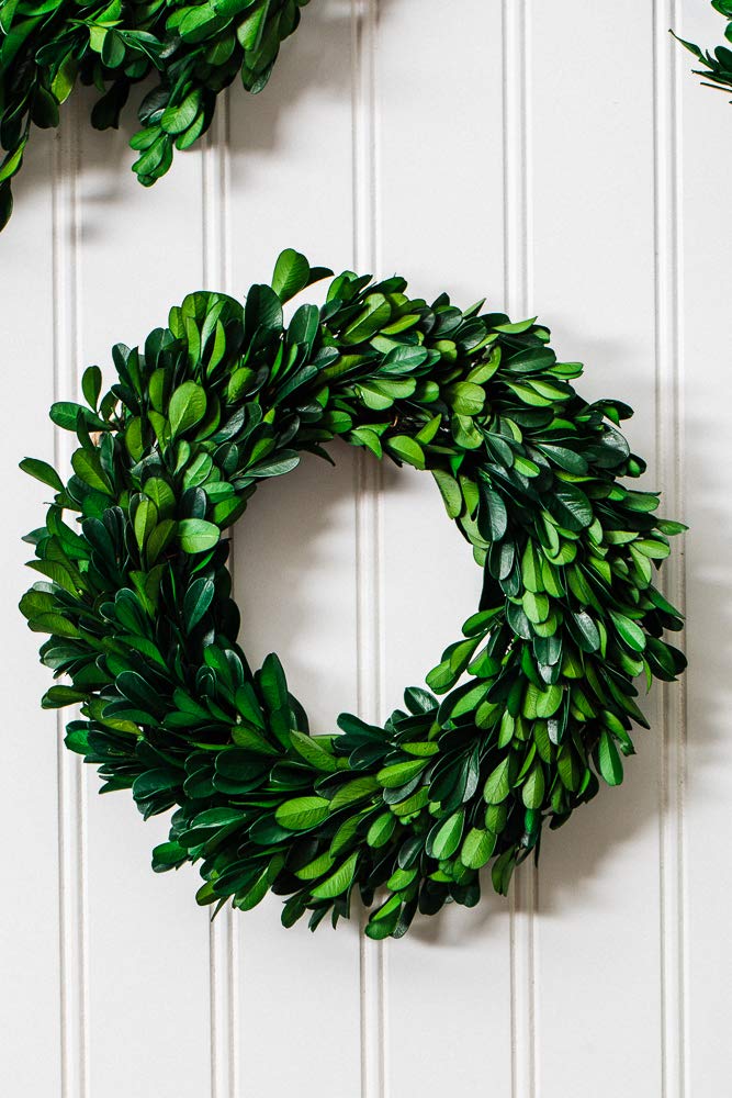 Richland Preserved Boxwood Wreath 8” Home Wedding Seasonal Decor Set of 12 - Image 3